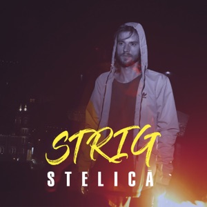 STRIG (Radio Edit)