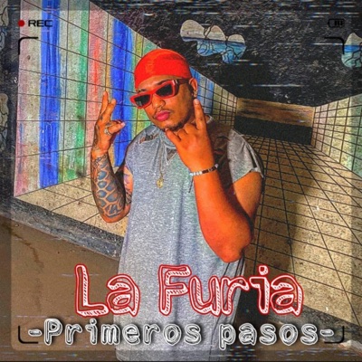 Primeros Pasos