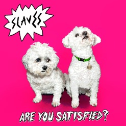 ARE YOU SATISFIED cover art