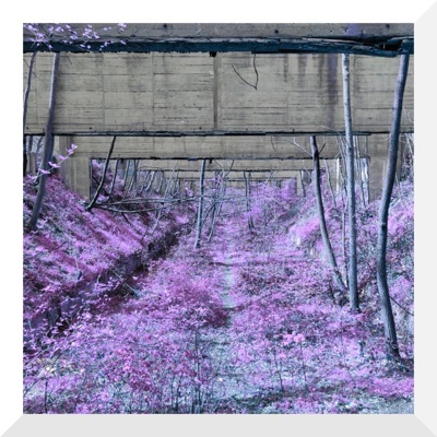 Mystical Aura - Single