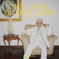 Me Cansé de Buscarte (Sent 1: Superación) - Single - Dafonseka