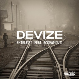 Entgleist (feat. ScReamout) Devize