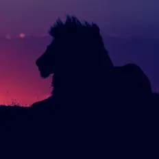 Escucha a King LJ, mira videos musicales, lee su biografía, consulta las fechas de las gira y más.