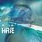 You Won't Be Alone - HIRIE lyrics