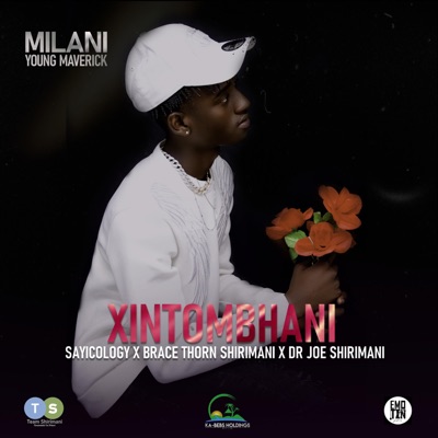 XINTOMBHANI (feat. Sayicology, Brace Thorn Shirimani & Dr Joe shirimani) - Single