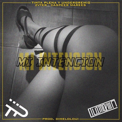 Mi Intención (feat. Zvter & Caspeer Marees) - Single