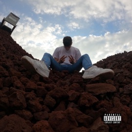 Fou dans ma tête Diziø