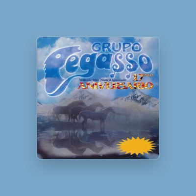 Grupo Pegasso