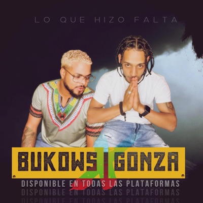 Lo que hizo falta (feat. gonza) - Single