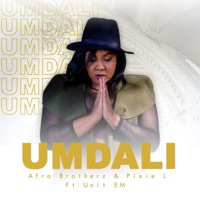Afro Brotherz & Pixie L (Umdali) (feat. Unit EM) - Single - Afro Brotherz