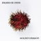 Rambutan - Golden Dragon lyrics