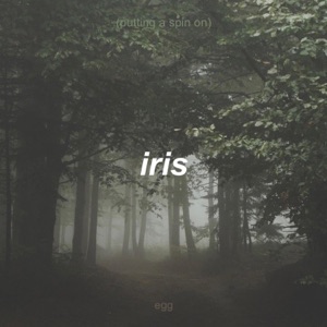 Putting a Spin On Iris - Single