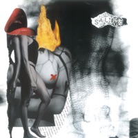 Saliva