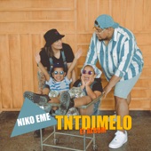 Tntdímelo (El Álbum) artwork
