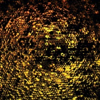 Ambient Code in Dream: 32 - Deep N Beeper