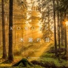 Jared Stokes - Morning Glow