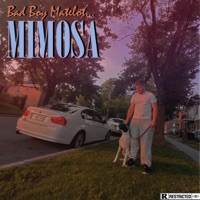 Mimosa - Single - Bad Boy Matelot
