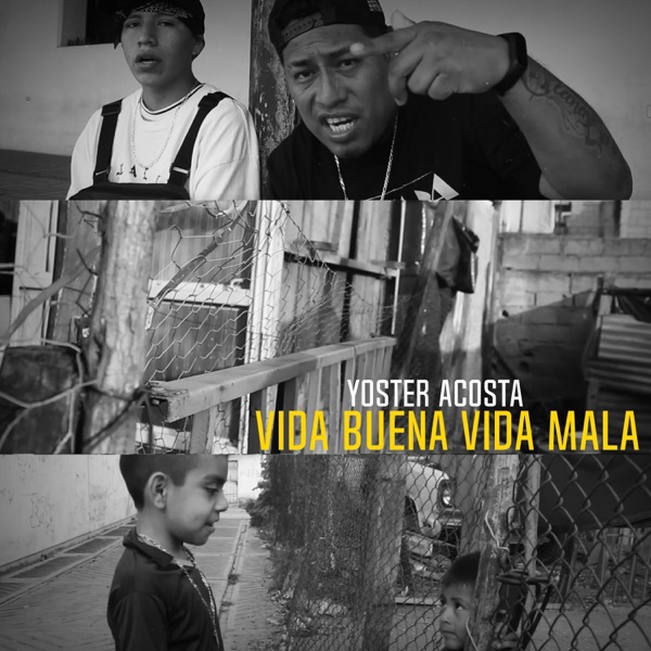 Vida Buena Vida Mala