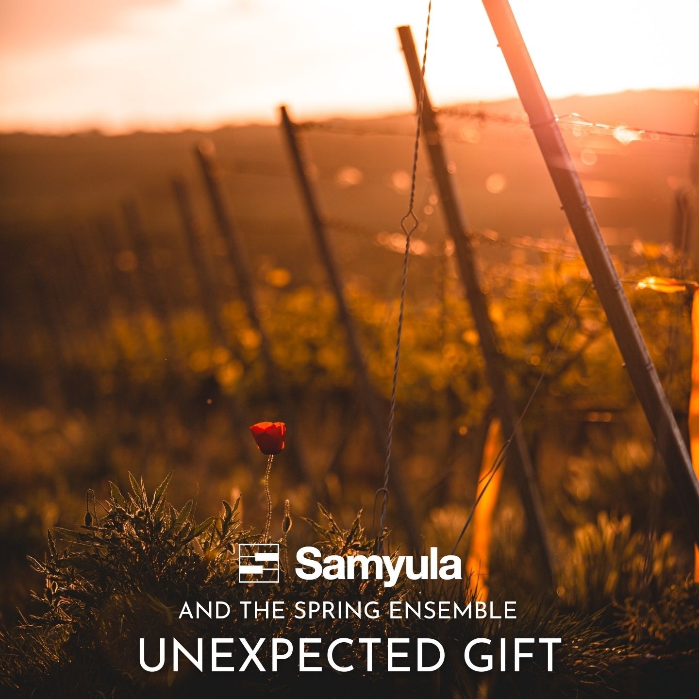 Unexpected Gift - Single