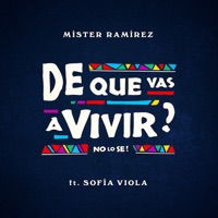 De Que Vas a Vivir? (No Lo Sé) [feat. Sofía Viola] - Single - Míster Ramírez