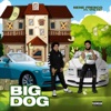 Big Dog (feat. Yfn Fat) - Single