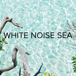 !!!" White Noise Sea"!!!
