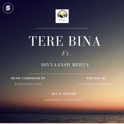 Tere Bina (feat. Divyaansh Mehta) - Single