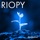 RIOPY - Meditation