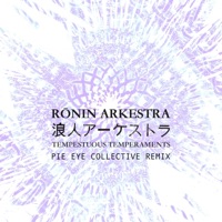 Tempestuous Temperaments (feat. Mark de Clive-Lowe, Kenichi Ikeda, Shinpei Ruike, Kohei Ando, Wataru Hamasaki, Tsuyoshi Kosuga & Shun Ishiwaka) - Single - Ronin Arkestra