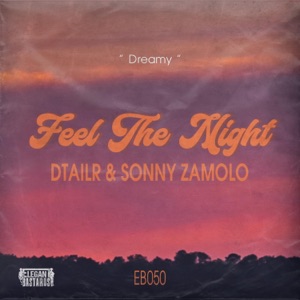 Feel the Night - Single