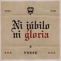 Ni Júbilo Ni Gloria - Single - VHESE