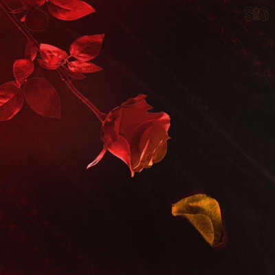 Roses - Single