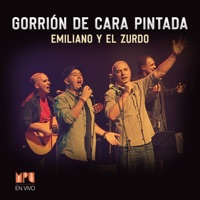 Gorrión de Cara Pintada (Mpu En Vivo) - Single - Emiliano y El Zurdo