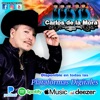Carlos de la Mora - Amor Por Internet