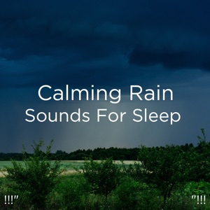 !!!" Calming Rain Sounds for Sleep "!!!