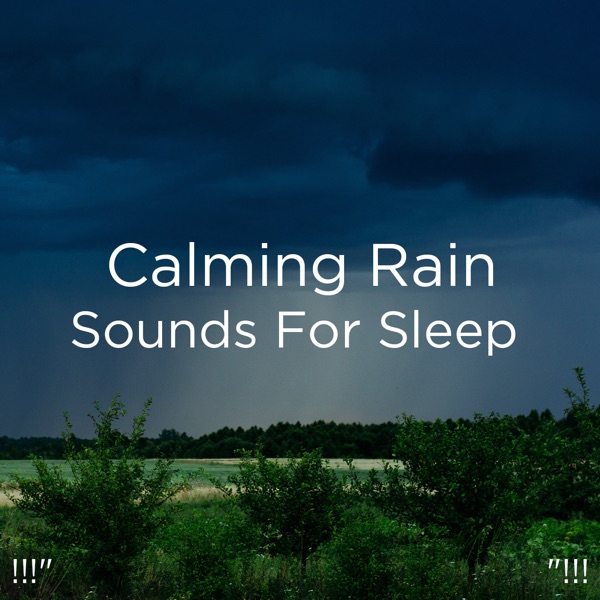 !!!" Calming Rain Sounds for Sleep "!!!