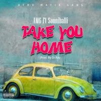 Take You Home (feat. Sonnibali) - Single - Afro Mafia Gang