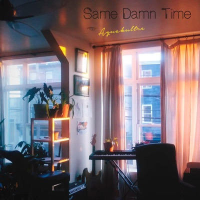 Same Damn Time (Remix) - Single