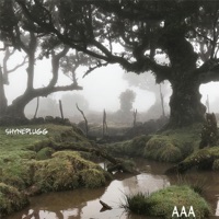 Aaa - Single - shyneplugg