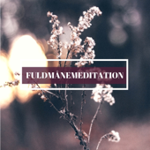 Fuldmånemeditation - Beroligende Natur Lyder for Afslapningstid
