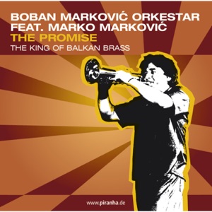 The Promise (feat. Marko Markovic)