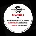 Wake Up From Your Trance