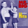 Wild World - Mr. Big