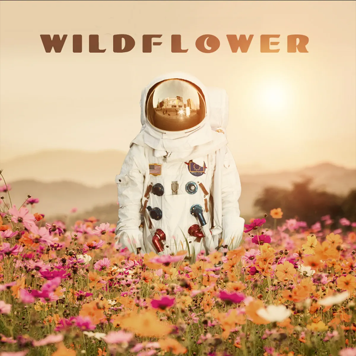 John Coggins - Wild Flower (2021) [iTunes Plus AAC M4A]-新房子