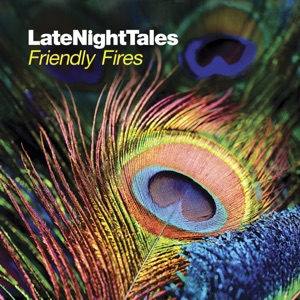 Late Night Tales: Friendly Fires (DJ Mix)