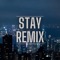 Stay (EDM Remix) artwork