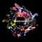 Feci - Marius Lehnert lyrics