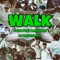 Walk (feat. B.Monkey) [DJ Whitesmith] - R-RIC lyrics