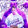 Déjate Llevar - Single