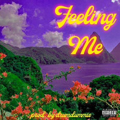 Feeling Me (feat. DrumDummies) - Single